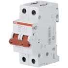 ABB - INTERRUTTORE-SEZIONATORE SD202/40 2P 40 Switch Disconnector
