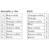 Miniatura Immagine rappresentativa 2