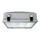BEGHELLI - Riflettore industriale ad elevato flusso luminoso con corpo in alluminio pressofuso e schermo in vetro temprato, idoneo per installazioni ad altezze elevate. RIF S 240W D REGOLABILE 010 4K.