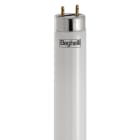 BEGHELLI - Tubo T8 per riconversione a LED delle plafoniere fluo, con intervento tecnico per altissimo risparmio energetico. T8 ECOLED STD 1500MM G1324W865.