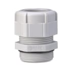 BM - PRESS NYLON IP68 PG11 RAL7035