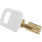 BRADY - Lucchetti SafeKey – compatti