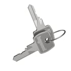 LEGRAND - Coppia di chiavi di ricambio tipo 2433A per armadi