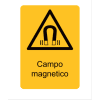 Miniatura Immagine principale 1