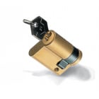 DKC EUROPE - Acc. per Serie GRAFI-CV - Cilindro DIN18252, cifratura Y21, per serrature serie SSCM, con 1 chiave