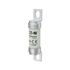 EATON INDUSTRIES - 100FE 100A 690V AC TYPE T FUSE(100FEA 10