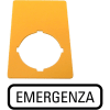 Miniatura Immagine principale 1
