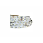 IVELAELCOM - STRIP 60LED/M 14,4W/M RGB+W 40K IP65