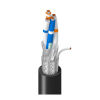 Miniatura Immagine principale 1