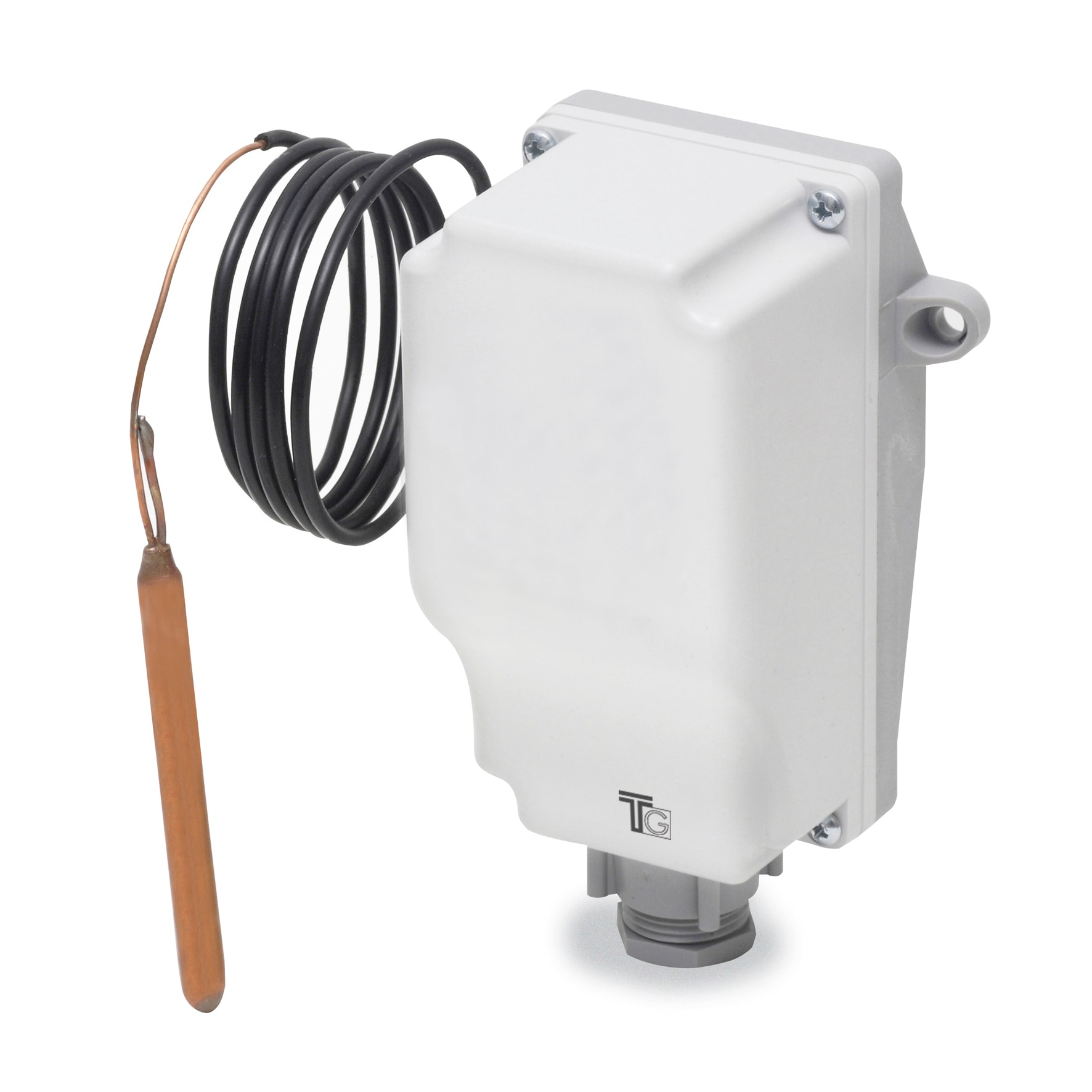 FANTINI COSMI - TS.CUSTOD.R/INT.0/60  1000/SS IP55