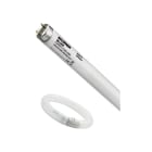 FEILO SYLVANIA - FC32 T9 BL368