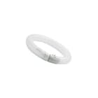 FEILO SYLVANIA - FC22W 840