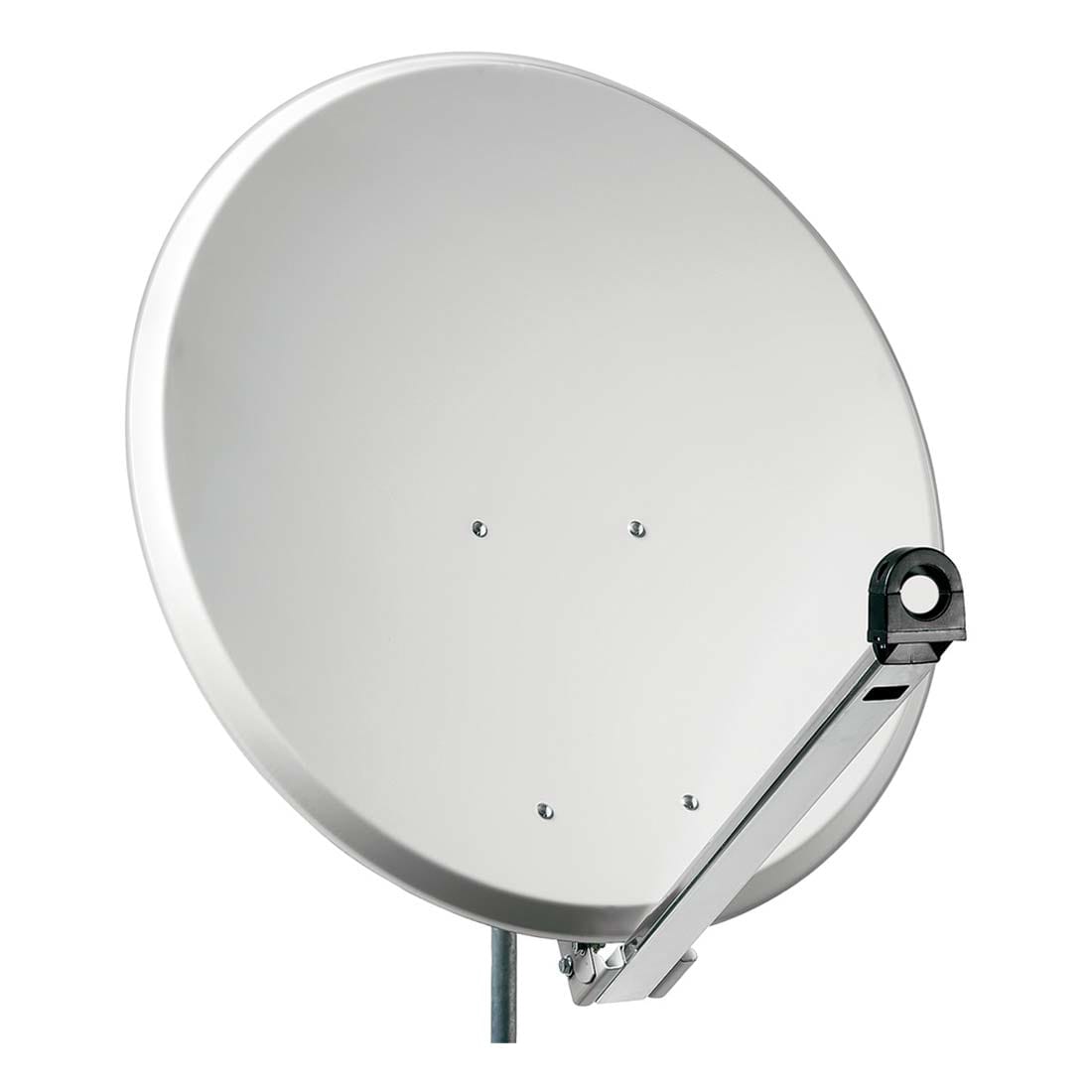 FRACARRO RADIOINDUSTRIE - PT100AC PAR 100CM ACCIAIO