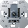 Miniatura Immagine principale 1