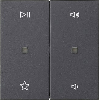 GIRA - BIL. 2-M CTRL.AUDIO