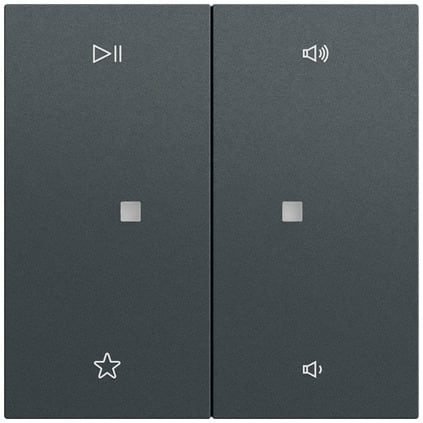 GIRA - BIL. 2-M CTRL.AUDIO