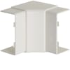 Miniatura Immagine principale 1
