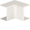 Miniatura Immagine principale 1