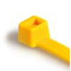 Miniatura Immagine principale 1