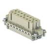 Miniatura Immagine principale 1
