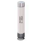 ITALWEBER - FUS LIMITATORE A6K/F 600VAC 20A