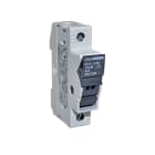 ITALWEBER - KIT SPINE BCH 22X58 2 POLI