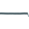 Miniatura Immagine principale 1