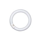 LEDVANCE - Lampada Fluorescente Circolare 40W, Luce Bianca Fredda, OSRAM - LUMILUX® T9 40W/840