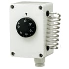 ORBIS - TS 9501 Termostato scatolato, dispositivo interno: termoregolatore a capillare, campo regolazione 5 - 60 °C, IP40