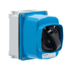 PALAZZOLI - SERIE CAM INTERRUTTORE DA PARETE IN CONTENITORE ALLUMINIO CAM-ALU INT PAR 4X16A HD IP66/67