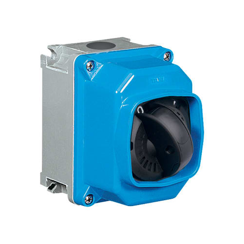 PALAZZOLI - SERIE CAM INTERRUTTORE DA PARETE IN CONTENITORE TERMOINDURENTE CAM-TI INT PAR 4X63A HD IP66/67