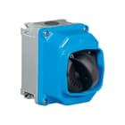 PALAZZOLI - SERIE CAM INTERRUTTORE DA PARETE IN CONTENITORE TERMOINDURENTE CAM-TI INT PAR 4X63A HD IP66/67