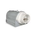 PALAZZOLI - CEE spina fissa da parete angolata 2P 16A 20-25/40-50V 100-200Hz 4h IP44