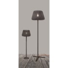 PANZERI CARLO - RALPH: EST.TERRA  50 MARRONE METAL NOLED