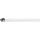 PHILIPS LIGHTING - Lampada fluorescente MASTER TL Mini Super 80 - Consumo energetico 13.1 W - Classe efficienza energetica G.