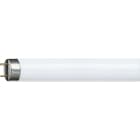 PHILIPS LIGHTING - Lampada fluorescente MASTER TL-D Super 80, 18.2W, 4000K, classe G.