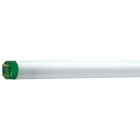 PHILIPS LIGHTING - Lampada fluorescente MASTER TL-D Eco - Consumo energetico: 49.8 W - Classe efficienza energetica: G - Temperatura colore: 4000 K.