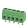 Miniatura Immagine principale 1