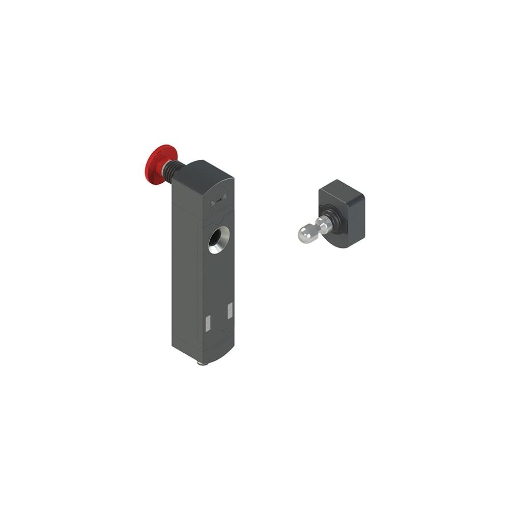 PIZZATO ELETTRICA - Interruttore di sicurezza con blocco serie NS completo di azionatore