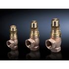 RITTAL - SK bypass valve 1/2, 1/2_619_E BYPASS valve