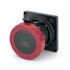 SCAME PARRE - PRESA FISSA 100A 4P 5W 7H IP67