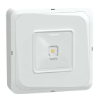 SCHNEIDER ELECTRIC - Exiway Smartbeam Soffitto, IP65, da Soccorritore Control,  190lm, Via di esodo, illuminazione di sicurezza
