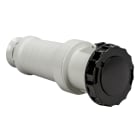 SCHNEIDER ELECTRIC - Presa mobile BT IP67 63A 500V 3P+N+T