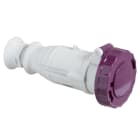 SCHNEIDER ELECTRIC - Presa mobile BTS IP67 16A 24V 50Hz 3P
