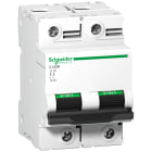 SCHNEIDER ELECTRIC - Interruttore magnetotermico C120N 2P C 80A 10000A