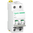 SCHNEIDER ELECTRIC - Interruttore sezionatore iSW 2P 63A