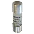 SCHNEIDER ELECTRIC - Fusibili UR 22X58 100A (scatola da 10)