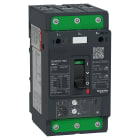 SCHNEIDER ELECTRIC - Interruttore salvamotore magnetotermico 115A 50kA Everlink