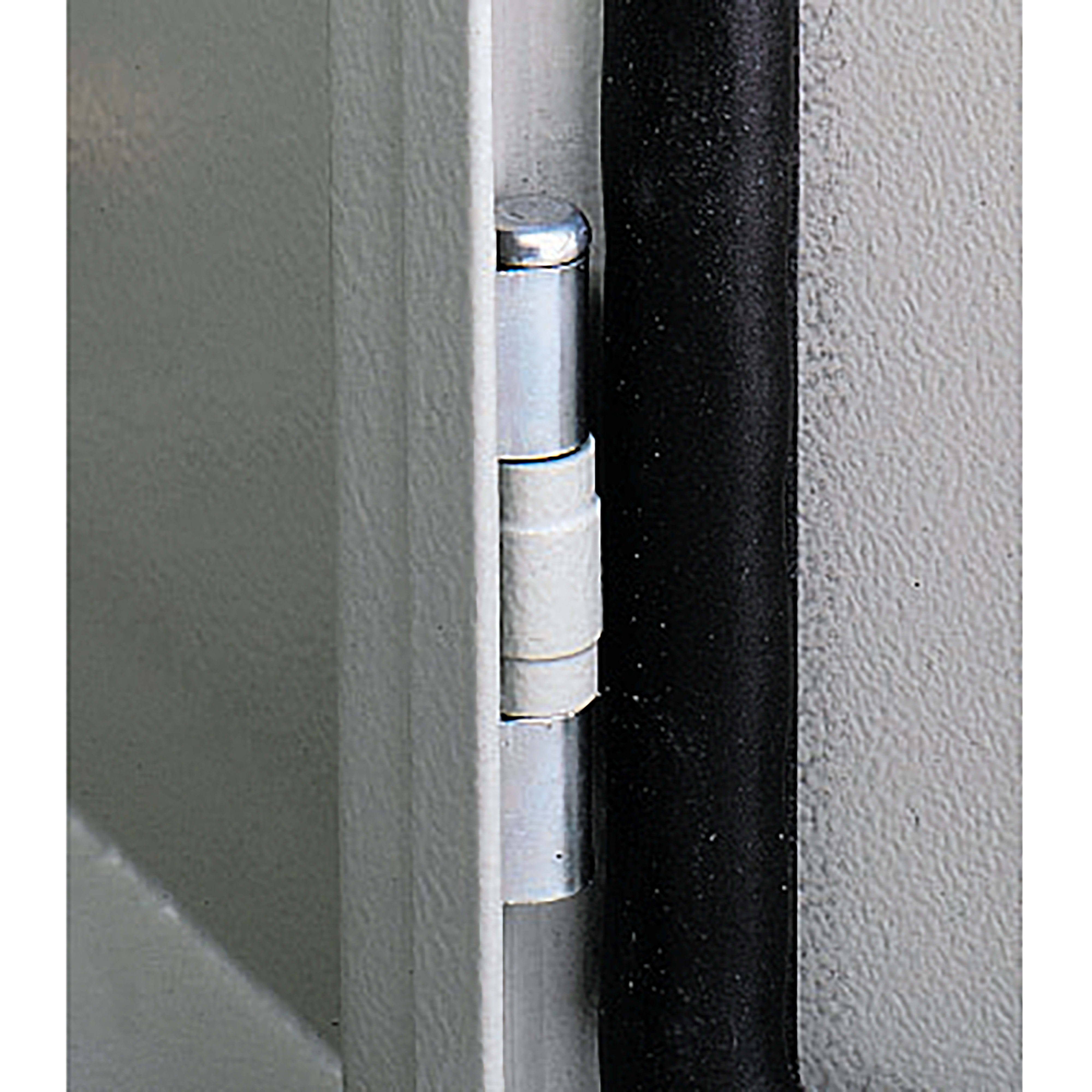 SCHNEIDER ELECTRIC - Cerniera standard per PanelSeT S3D