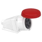 SCHNEIDER ELECTRIC - Presa fissa BT da parete small IP67 32A 380V 3P+N+T